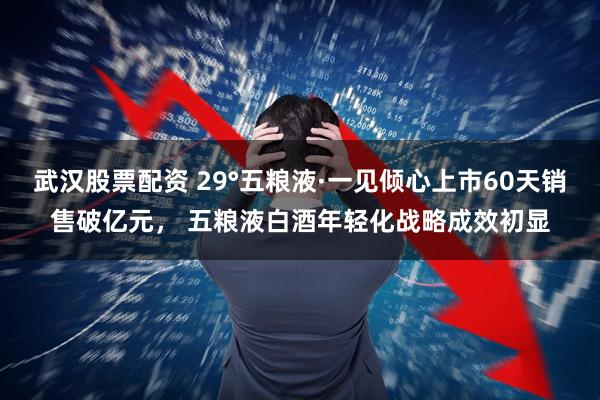 武汉股票配资 29°五粮液·一见倾心上市60天销售破亿元， 五粮液白酒年轻化战略成效初显